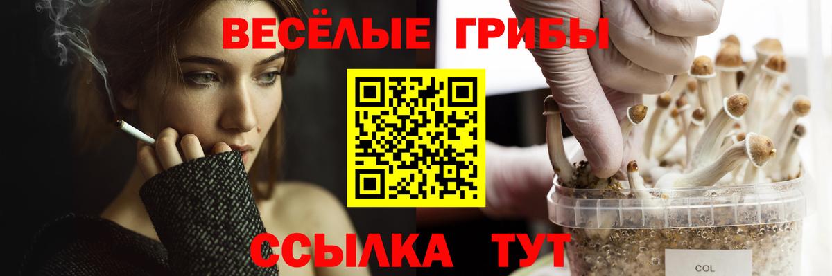 Псилоцибиновые грибы Cubensis  Псилоцибиновые грибы прущие грибы  Вход с VPN  продажа наркотиков  Протвино 